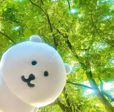 自嘲熊