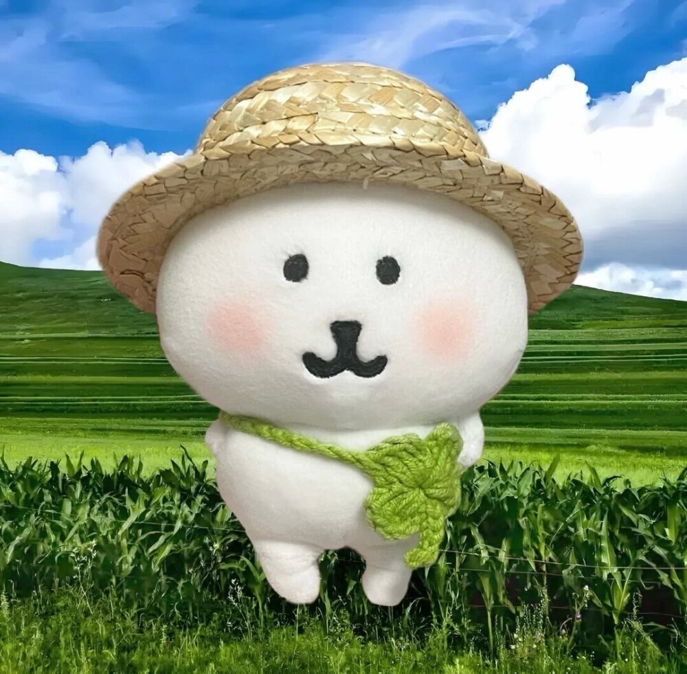 自嘲熊