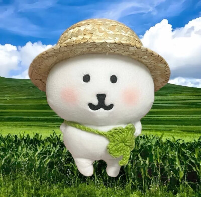 自嘲熊