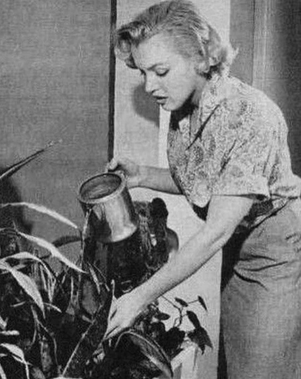 Marilyn Monroe ，1951