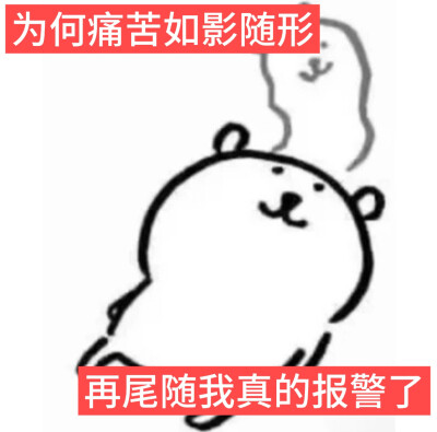 自嘲熊表情包