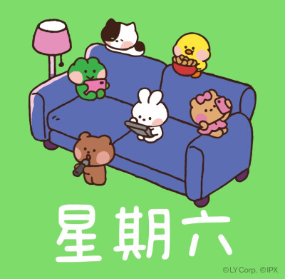 mini 家族