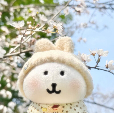 自嘲熊