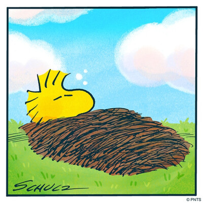 『snoopy史努比』头像▪壁纸