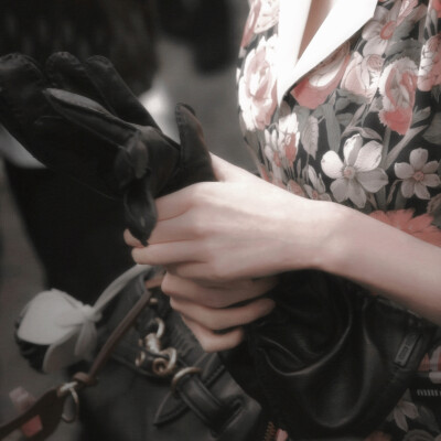 郁金香来迟的午后 留下红茶和咖啡的丽莉夫人