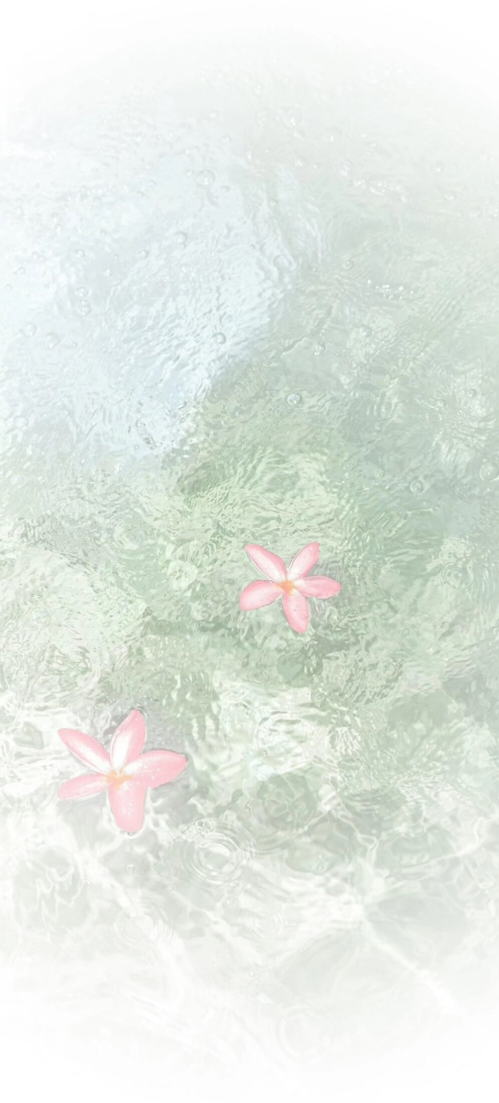 壁纸