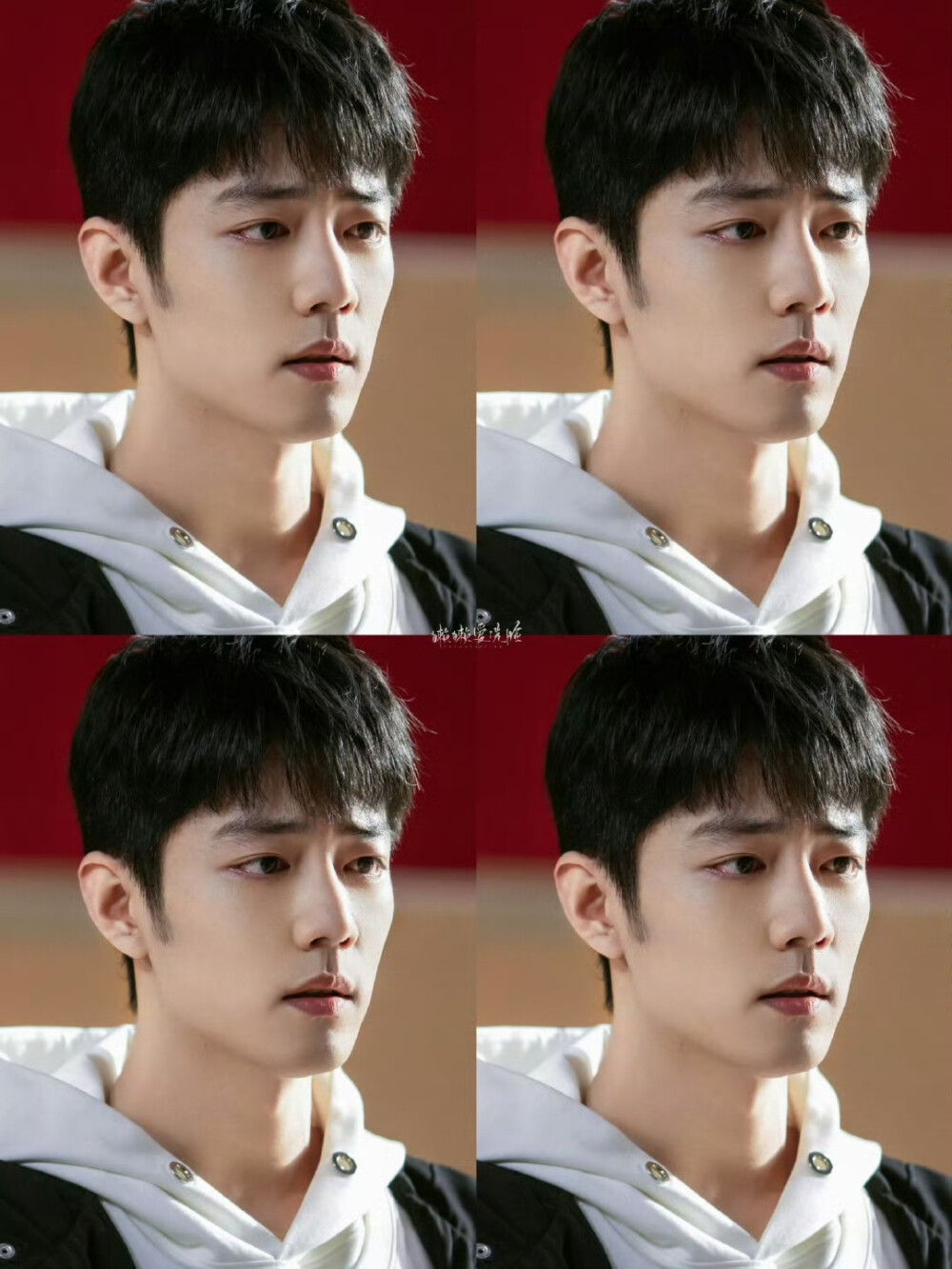 肖战｜盛阳｜骄阳伴我