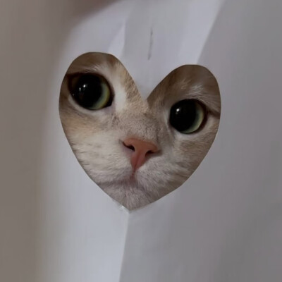 *･゜ﾟ･*