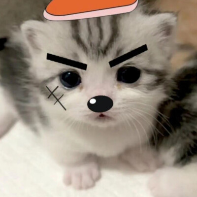 莫一嗷喵