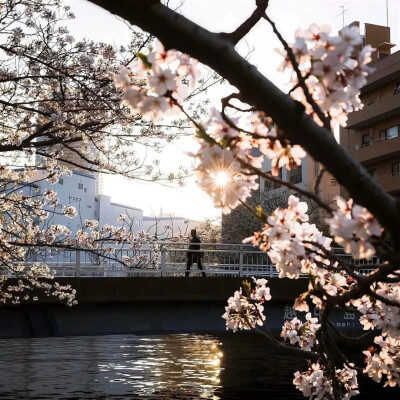 背景图