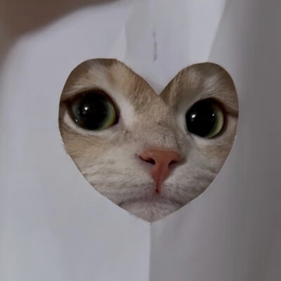 *･゜ﾟ･*