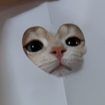 *･゜ﾟ･*