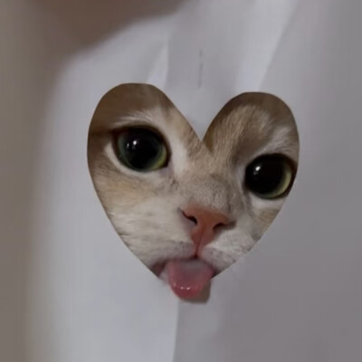 *･゜ﾟ･*