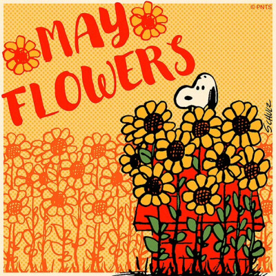 『snoopy史努比』头像▪壁纸