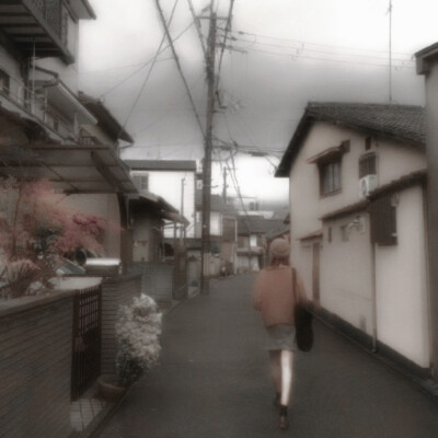 郁金香来迟的午后 留下红茶和咖啡的丽莉夫人