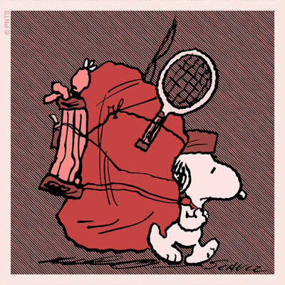 『snoopy史努比』头像▪壁纸