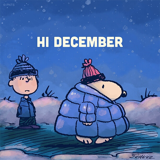 『snoopy史努比』头像▪壁纸