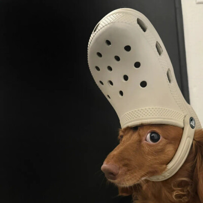 欧耶