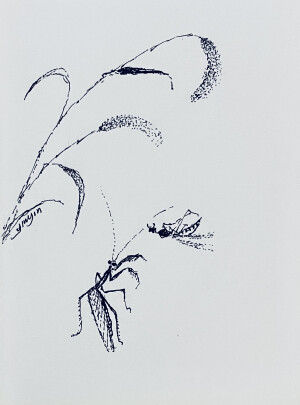 《针管笔点绘》