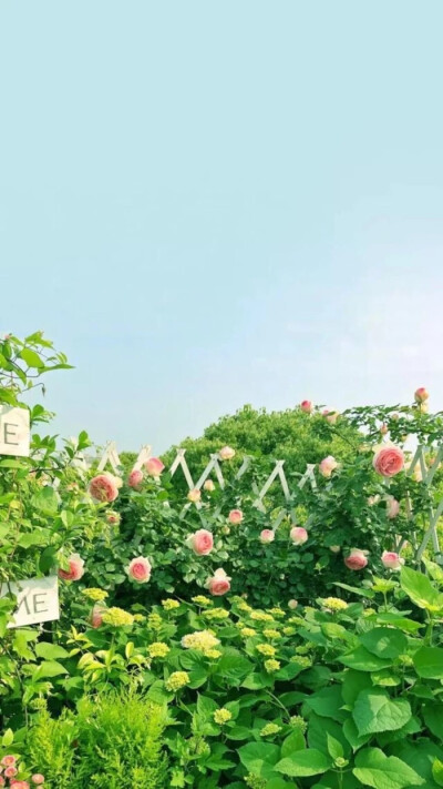 唯美壁纸