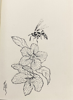 《针管笔点绘》