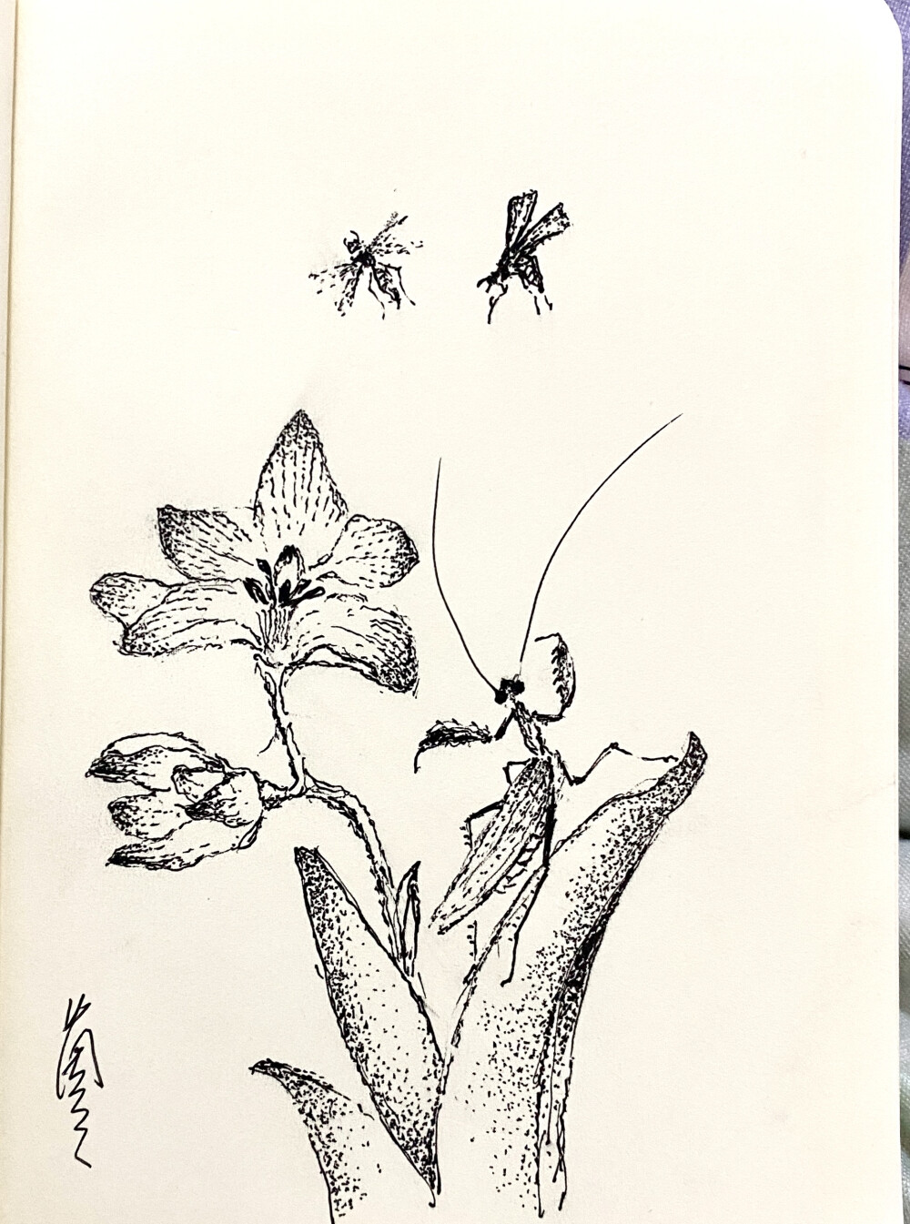 《针管笔点绘》