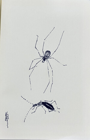 《针管笔点绘》