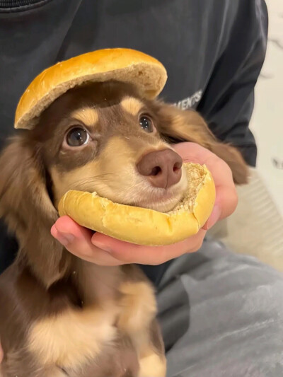 壁纸