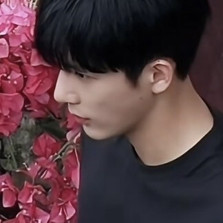 王安宇