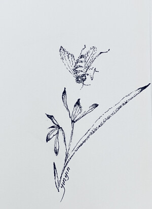 《针管笔点绘》