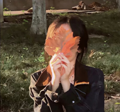 唯美女头