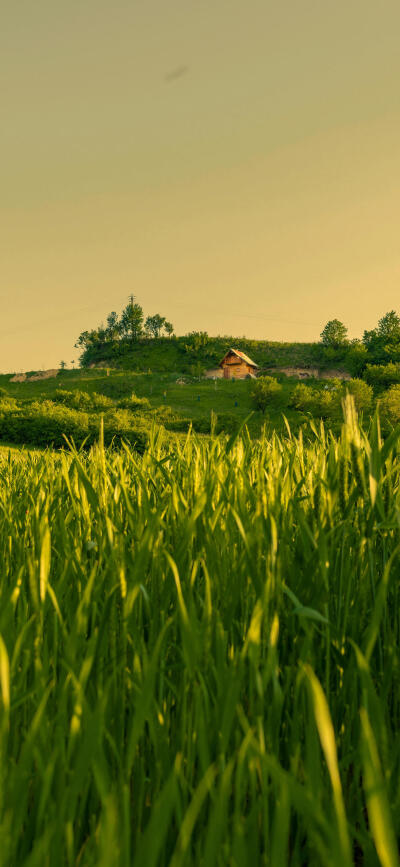 背景壁纸