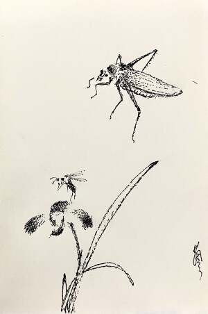 《针管笔点绘》