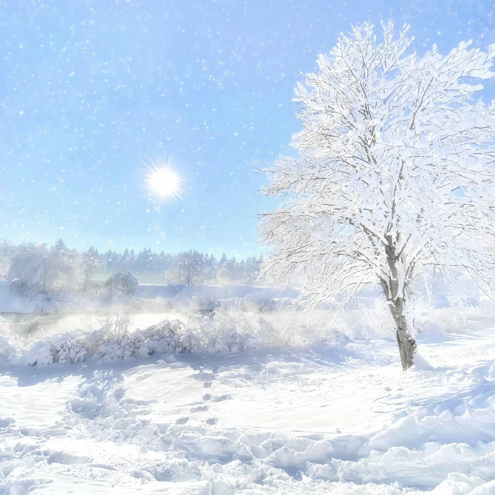 ₓ˚. 水色恋曲 .˚ₓ