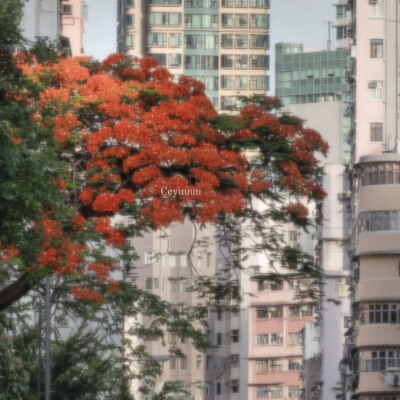 卢昱晓
