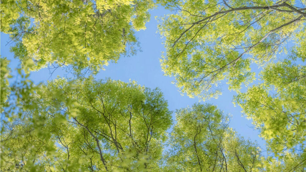 平板/电脑屏幕高清壁纸