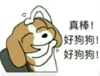 狗狗