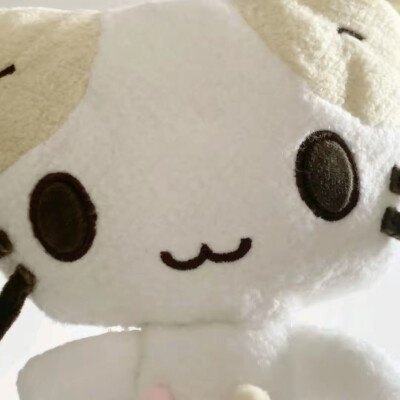 棉花糖猫
