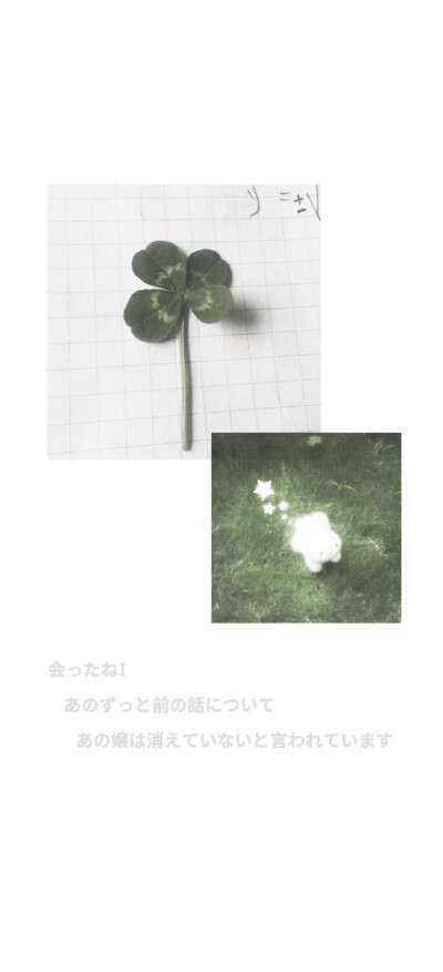 壁纸