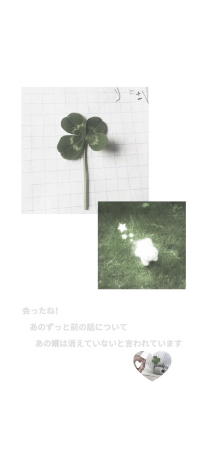 壁纸