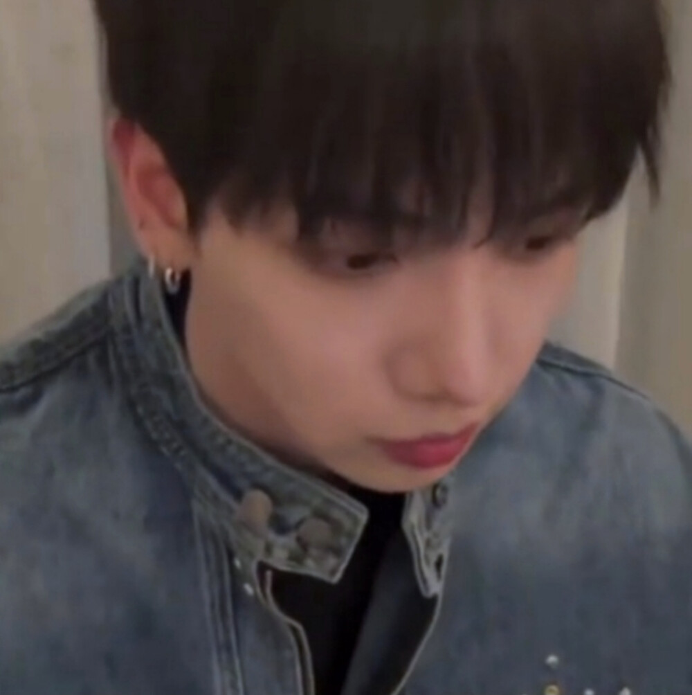 全网最尊重狗的博主