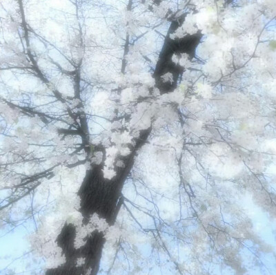 公主请用水色背景图～