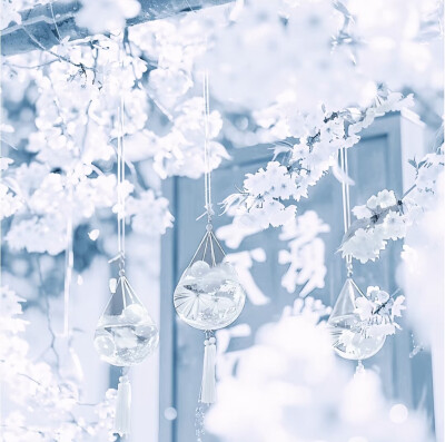 公主请用水色背景图～