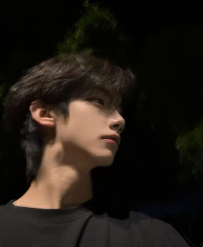 真人男头