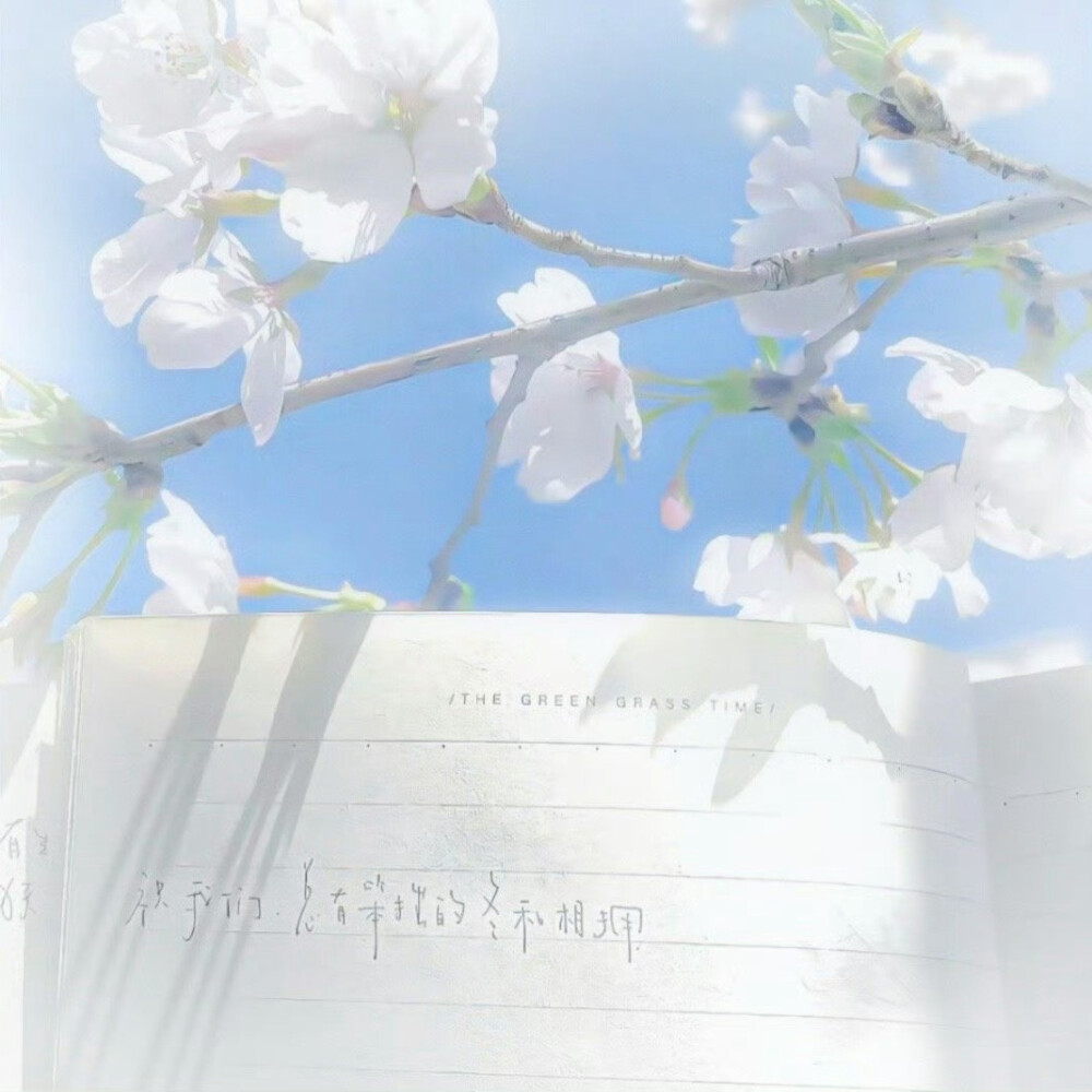 ₓ˚. 水色恋曲 .˚ₓ