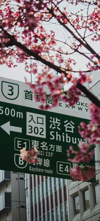 全屏壁纸