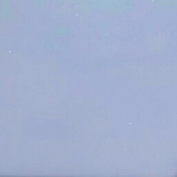 ：关于你 我很喜欢 小蔻^o^