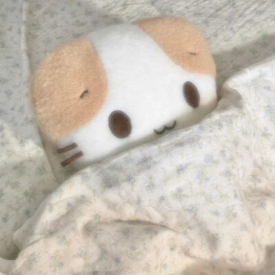猫玩偶头像