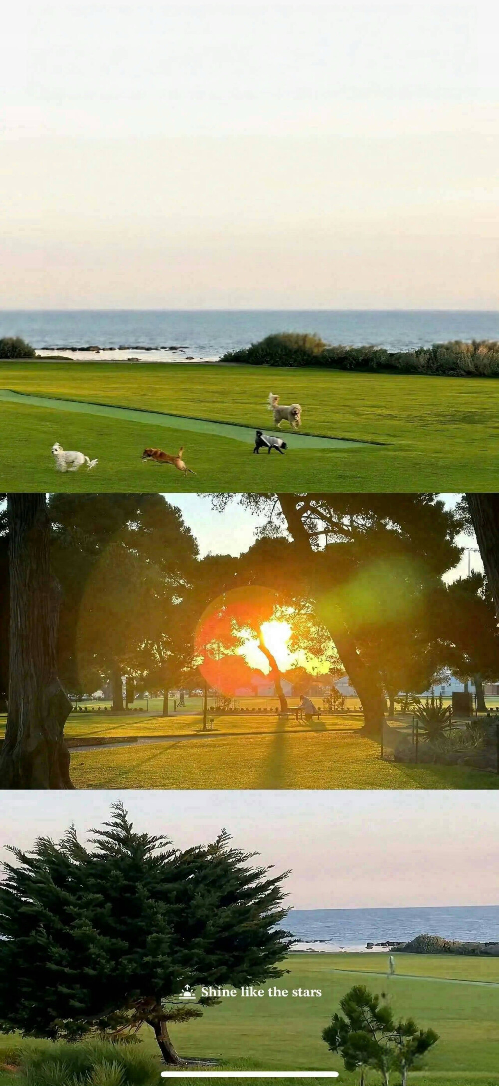 手机壁纸