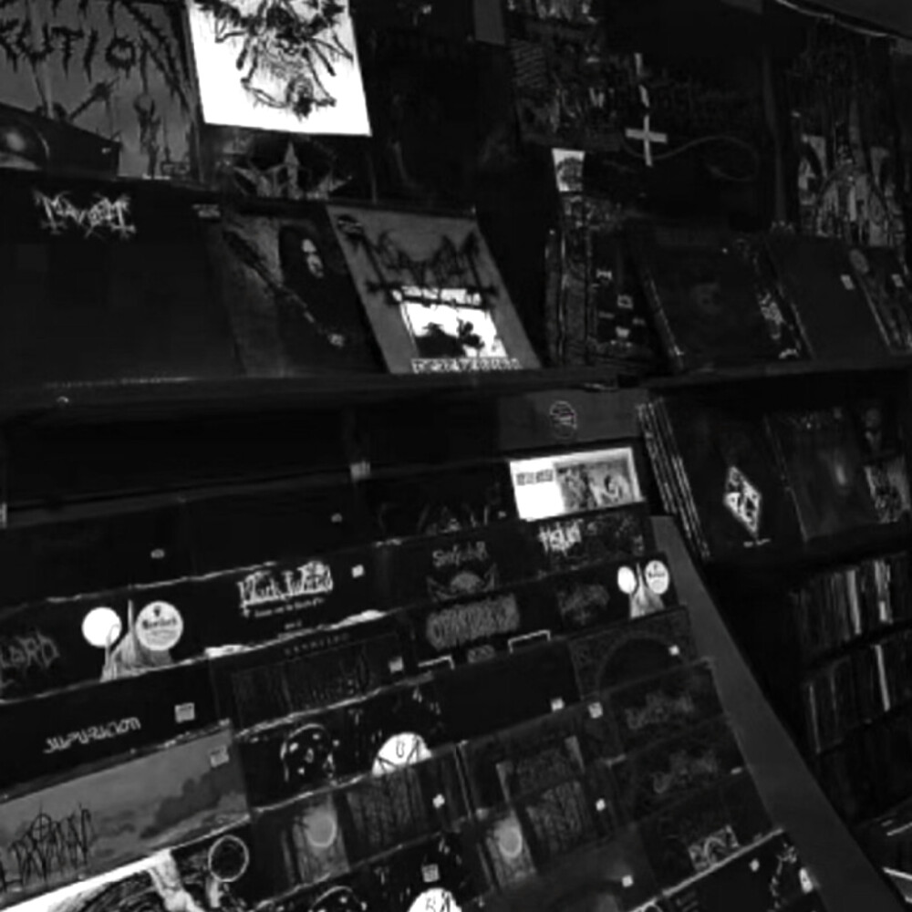 〈陷阱〉：出逃后的世界